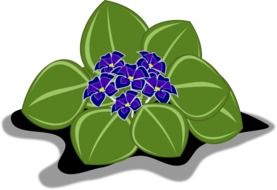 graphic image of blue african violet
