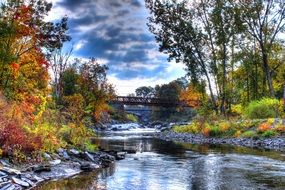 nature near the river in autumn
