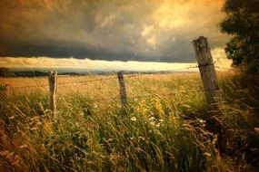 Field Sky France