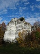 natural rocks near the trees