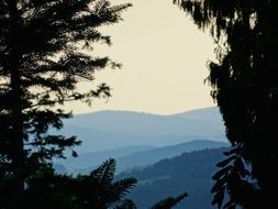 view of the blue pastel mountains through the trees