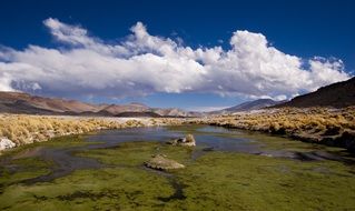 Argentina Andes nature