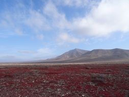 Lanzarote Landscape