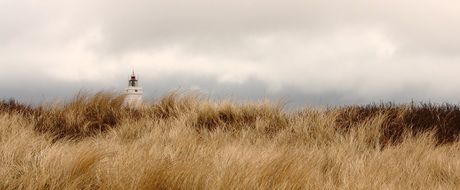 landscape of Lighthouse on a dry grass field