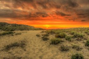 Beautiful and colorful sunset at Desert, orange Sky above sand with plants