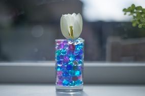 Tulip Pebbles