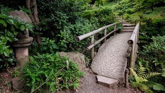 wooden bridge in japanese garden