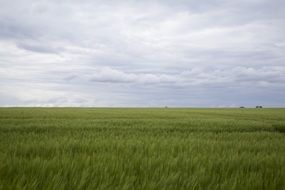 Field Landscape Out Nature