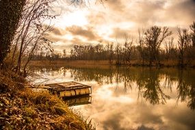 peaceful forest river