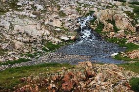 Rapid stream in the mountains among the colorful plants in Colorado