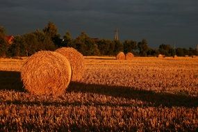 field with straw bales in the bright rays of sunset