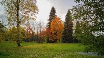 yellow, green and orange trees in the park in October