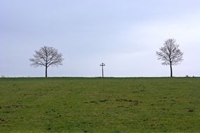 two bare trees and cross on Horizon