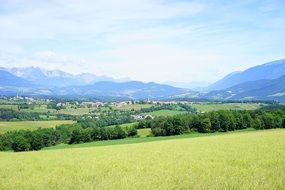 Landscape of green field