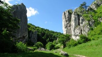 rocks in green trees in poland