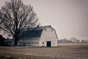 buildings of a farm among the field