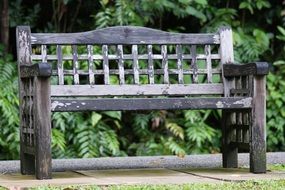 weathered wooden Park Bench, Singapore, botanic garden