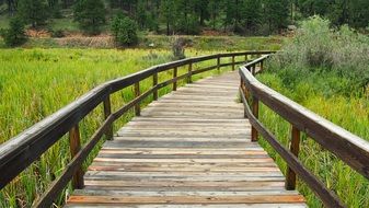 wooden foot bridge over a green meadow