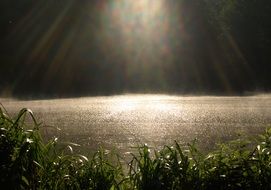 moonlight above the surface of the pond