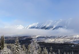 landscape of winter forest, fog and snow mountains