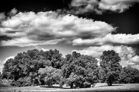 black and white picture of rural landscape