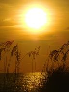 Sunset on the ocean in the evening