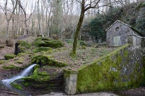 Hut near the water source in the forest