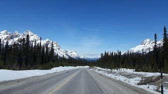 highway among coniferous forest