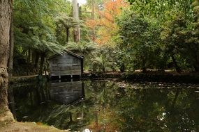 perfectly charming Pond