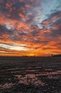 Sunrise Frosted