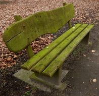 green bench among autumn foliage