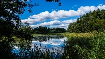 Beautiful Landscape of lake in a forest