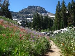 Winnemucca Lake