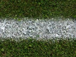 white line on a green lawn closeup