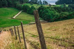 Landscape with the beautiful path among the colorful path with barbed wire fence