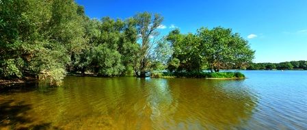 green trees are reflected in the waters of the lake on a sunny day