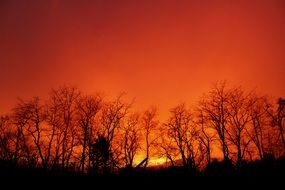 Natural Bright orange Sunset