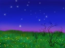 drawing with the image of a summer night