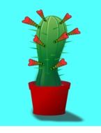 drawing of a cactus in a red flower pot
