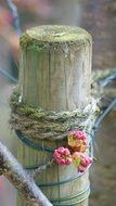 flowers are tied to a wooden pillar