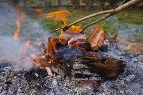 bacon on a fire among nature