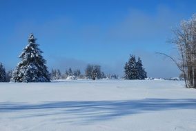 romantic Winter dream landscape