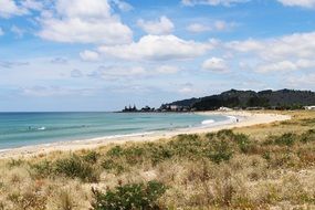 Pacific Coast in New Zealand