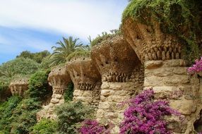 stunning botanical garden