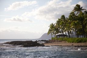 Ocean Beach. Hawaii