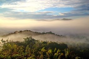 Bario Sarawak Borneo