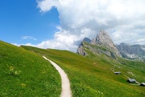 path in green field Mountains South Tyrol Dolomites