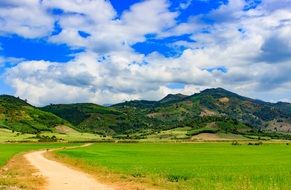 path in the green mountain field