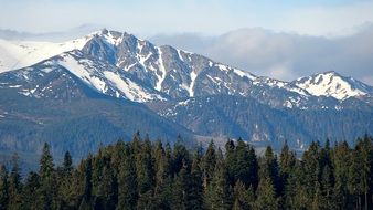 Mountains Tatry green forest scene