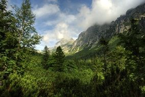 Slovakia Tatry in clouds Landscape